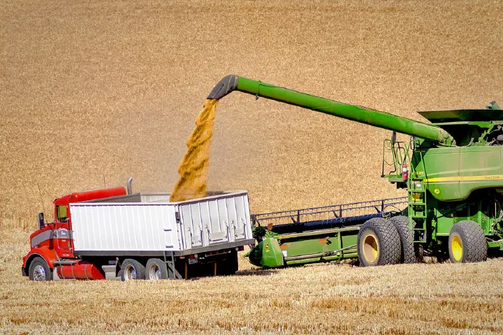 A typical scene in the Palouse.