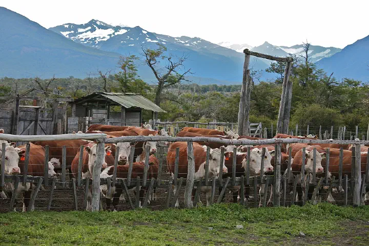 The Nibepo Aike ranch, El Calafate.