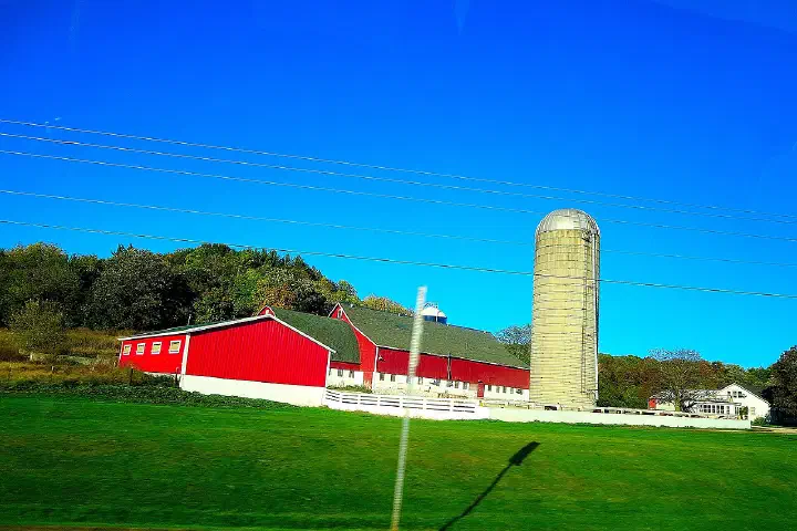 Dairy Farm near Sauk City