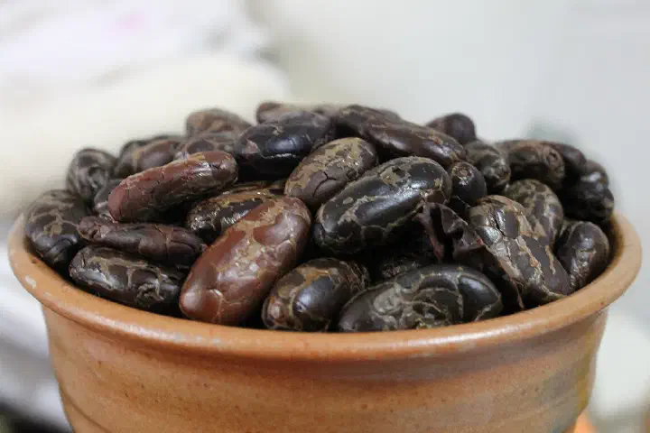 Roasted cacao ready for the mill.