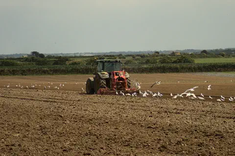 A tractor cultivating a field.