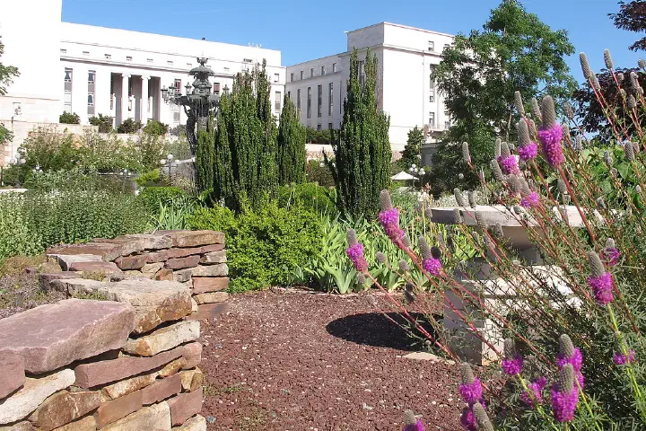 A dry garden in Bartholdi Park.