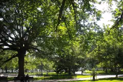 Lafayette Square in front of the White House, Washington, D.C.