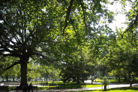 Lafayette Square in front of the White House, Washington, D.C.