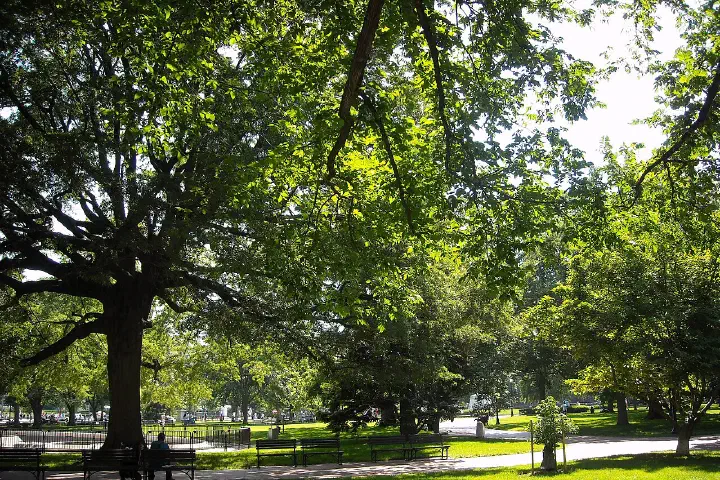 Lafayette Square in front of the White House, Washington, D.C.