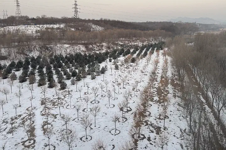 A hill after snow in Beijing, Jan 1 2024