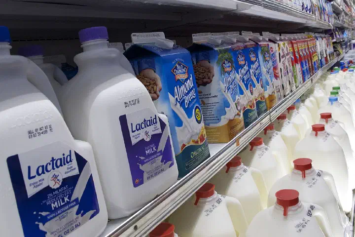 The milk aisle of a grocery store.