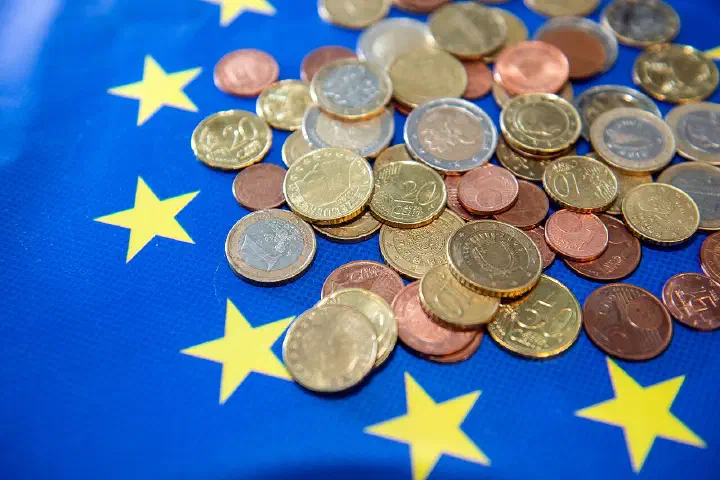 A selection of euro coins.