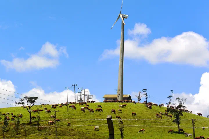 A wind farm.