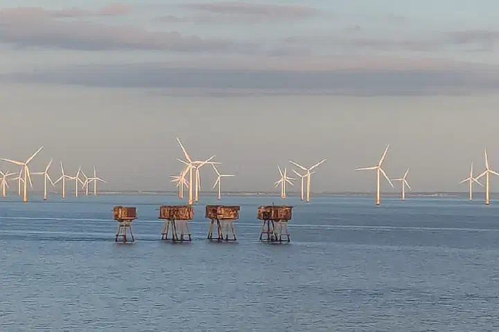 The Kentish Flats Offshore Wind Farm, seen from a ship.