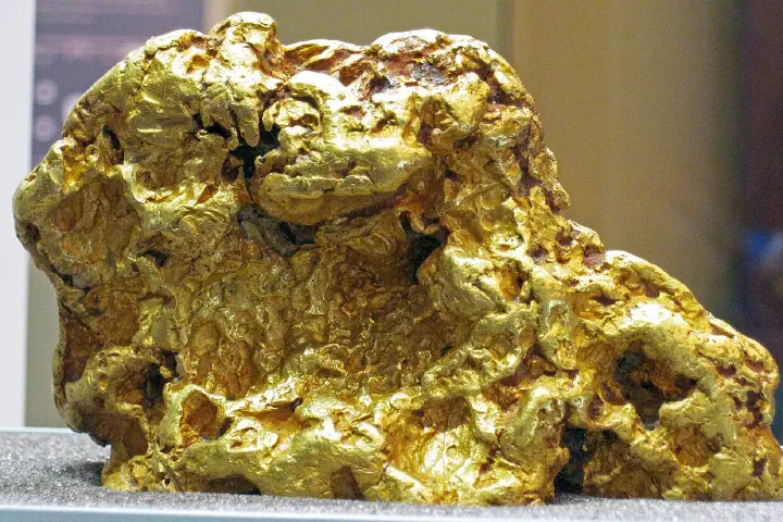 A gold nugget from Australia on display at the Field Museum of Natural History, Chicago.