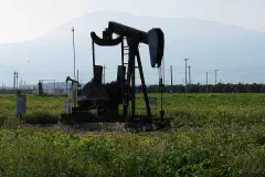 Edison field oil well, in an agricultural setting (row crops and orchards)