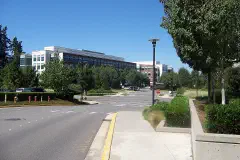 An intersection on the Microsoft Redmond campus