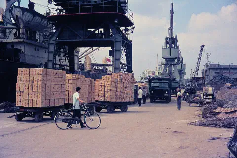 The Port of Shanghai.
